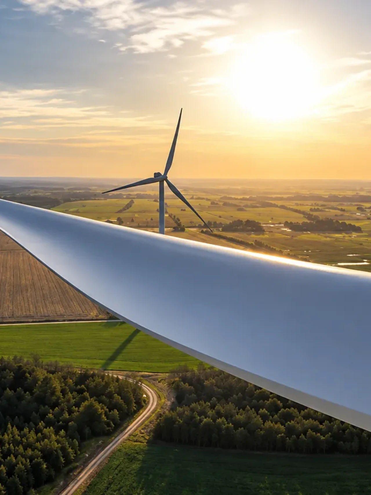 Vindkraft över gyllene landskap